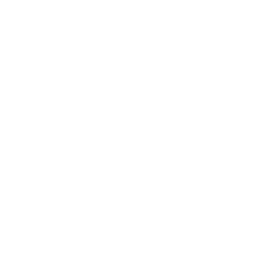 No KYC icon